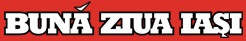 Logo de bzi.ro